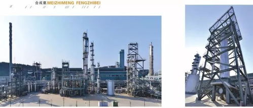 四川美豐一項(xiàng)關(guān)鍵化工工藝通過科技成果鑒定，引領(lǐng)行業(yè)綠色高效發(fā)展