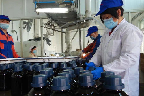 光華科技榮獲“全國石油和化學工業先進集體”稱號，彰顯化工技術創新硬實力